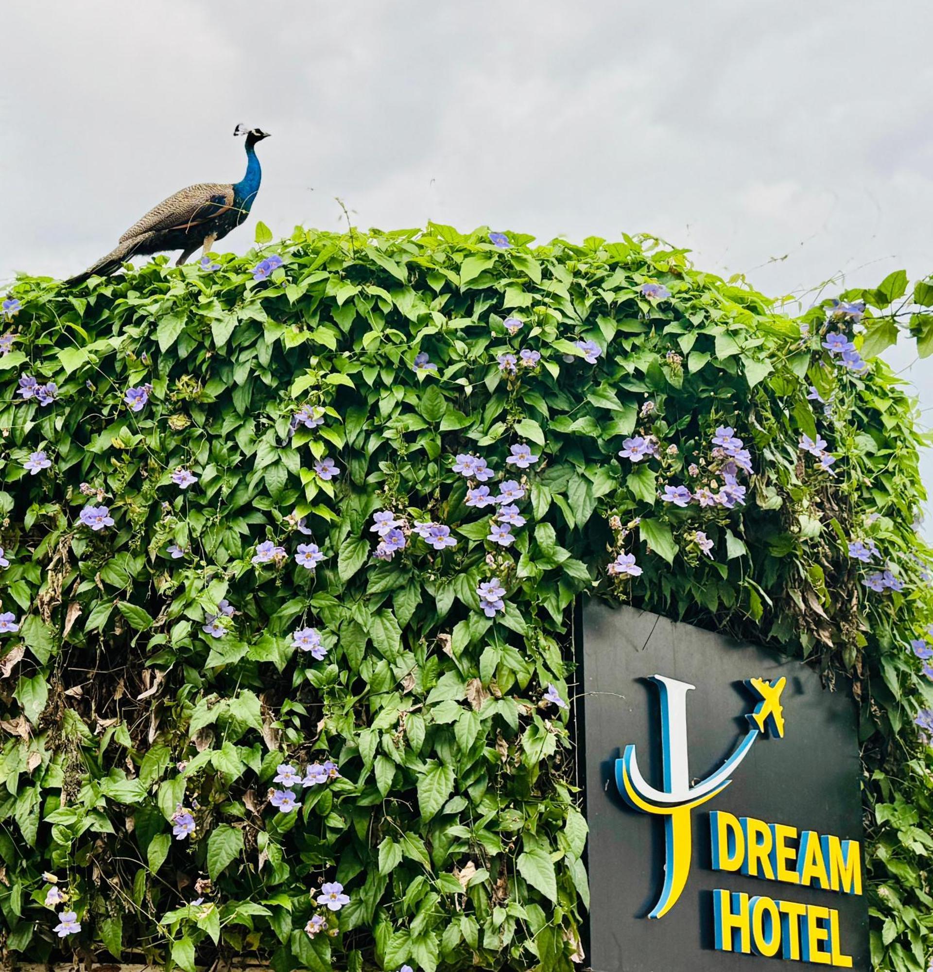 Airport J Dream Resort Dewamottawa Εξωτερικό φωτογραφία